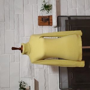 J crew 100% cashmere turtleneck in beautiful light green color